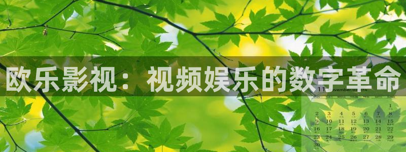 桔子视频入口：欧乐影视：视频娱乐的数字革命