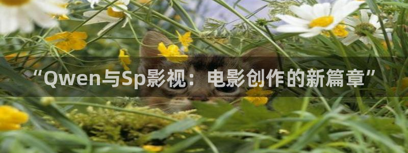 桔子视频免费版：“Qwen与Sp影视：电影创作的新篇章”