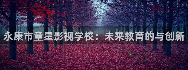 桔子电影在线播放：永康市童星影视学校：未来教育的与创新
