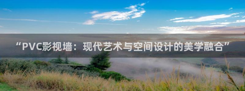 桔子罐头做法视频：“PVC影视墙：现代艺术与空间设计的美学融合”
