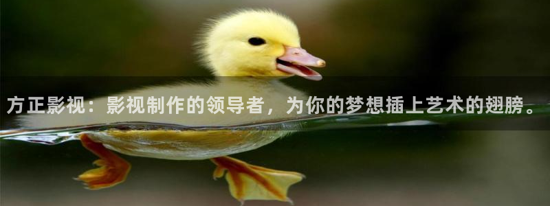 桔子视频一区二区