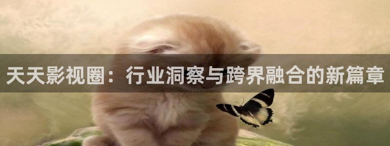 桔子免费影视：天天影视圈：行业洞察与跨界融合的新篇章
