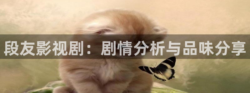 桔子视频下载