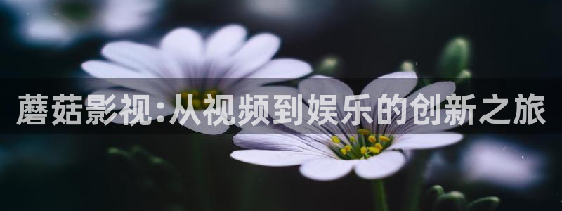 小桔子影视