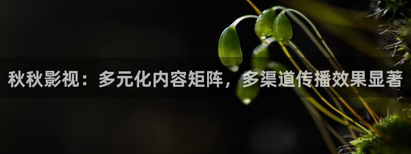 桔子图片大全